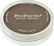 PANPASTEL 9ML RAW UMBER SHADE