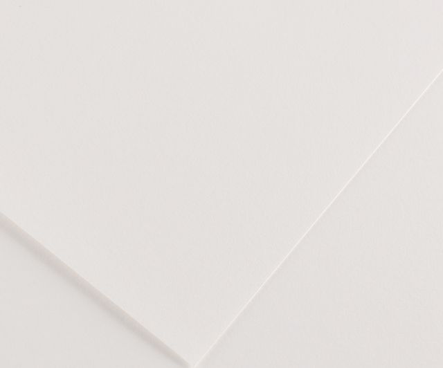 Canson Bristol Vellum 18X24 10 Sheets