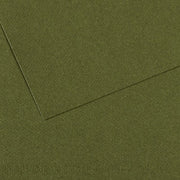 MI-TEINTES 448 IVY 19X25