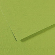 MI-TEINTES 475 DARK GREEN 19X25