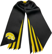 University of Iowa Hawkeyes Pony Streamer