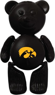 University of Iowa Magnet