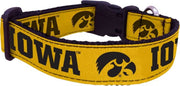 University of Iowa Dog Collar