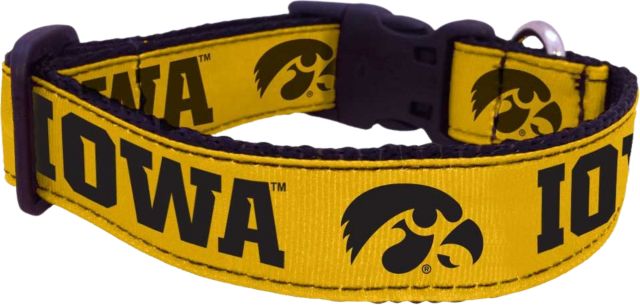 University of Iowa Dog Collar