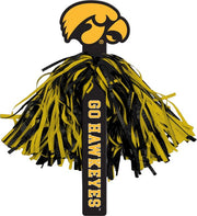 University of Iowa Poms