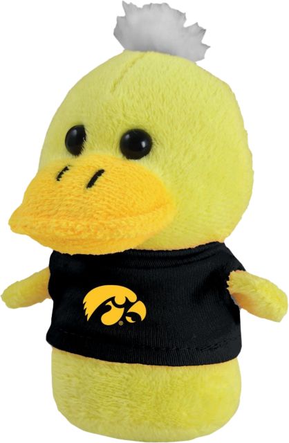 University of Iowa Hawkeyes Shorties
