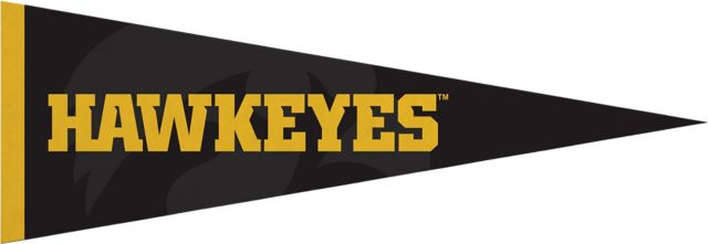 University of Iowa 5x15 Pennant