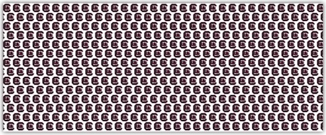 University of South Carolina 10" Wrapping Paper