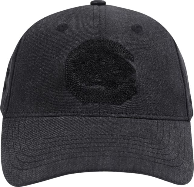 University of South Carolina Classic Dad Hat