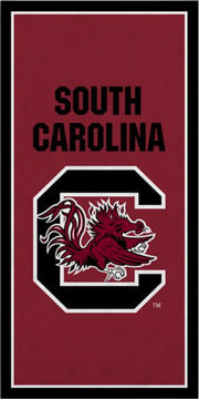 University of South Carolina 18" x 36" Vertical Banner
