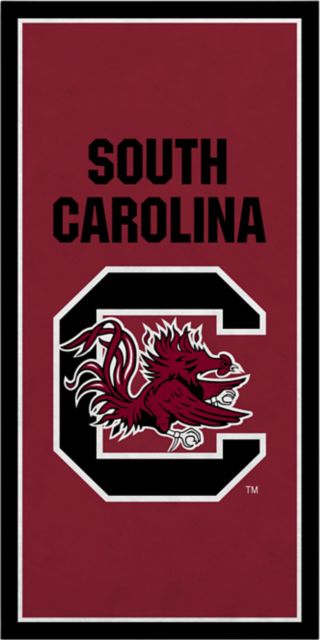University of South Carolina 18" x 36" Vertical Banner