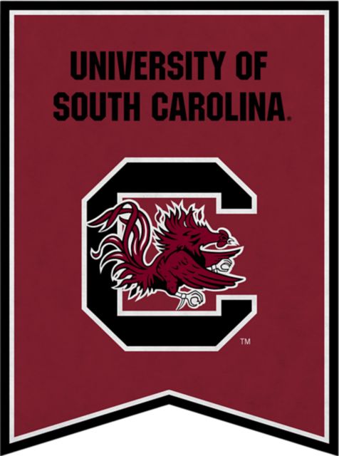 University of South Carolina 18" x 24" Banner