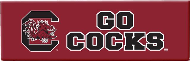 University of South Carolina Magnet