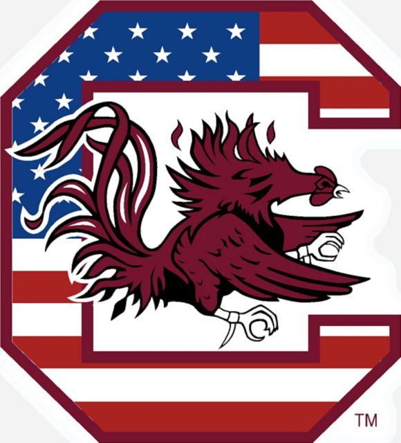 University of South Carolina Mini Magnet
