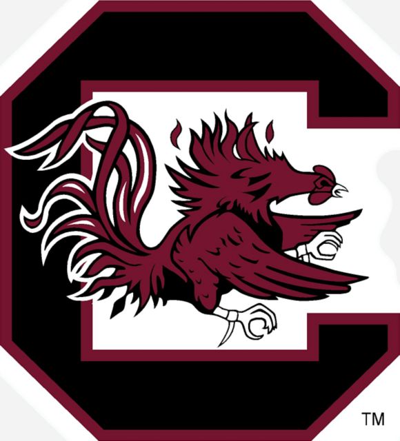 University of South Carolina Mini Magnet
