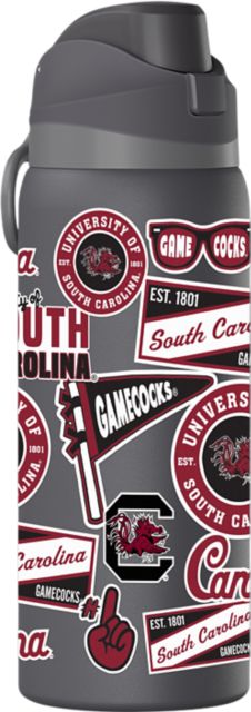 University of South Carolina 32 oz. Hydrapeak Bottle
