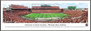 University of South Carolina 50 Yard Line 13.5'' x 40'' Print