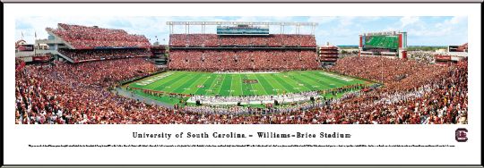 University of South Carolina 50 Yard Line 13.5'' x 40'' Print