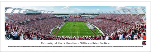University of South Carolina Bagged Panorama