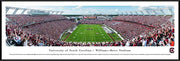 University of South Carolina 40.25'' x 13.7'' Print