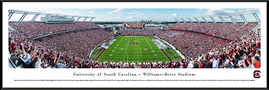 University of South Carolina 40.25'' x 13.7'' Print