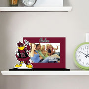 University of South Carolina Gamecocks 4'' x 6'' Standee Frame