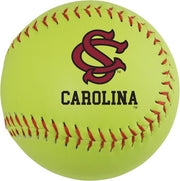 University of South Carolina Softball