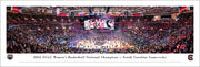 University of South Carolina Women's Basketball 2024 National Champions Unframed Panoramic Print