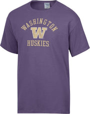 Washington Huskies Baseball Comfort Wash Short Sleeve T-Shirt