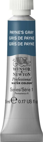 Professional Watercolor 5mL Payne Gray