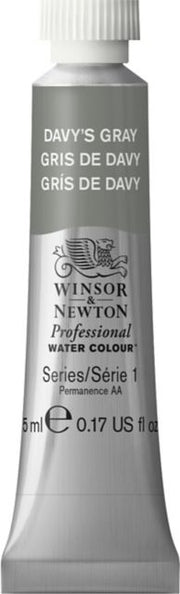 Professional Watercolor 5mL Davy Gray